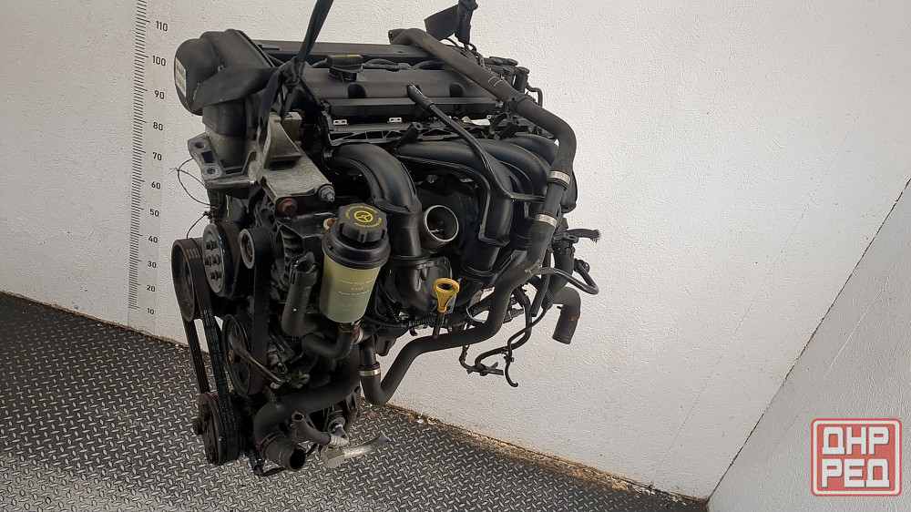 Двигатель Ford Focus 2 SHDA, SHDC Донецк - изображение 6