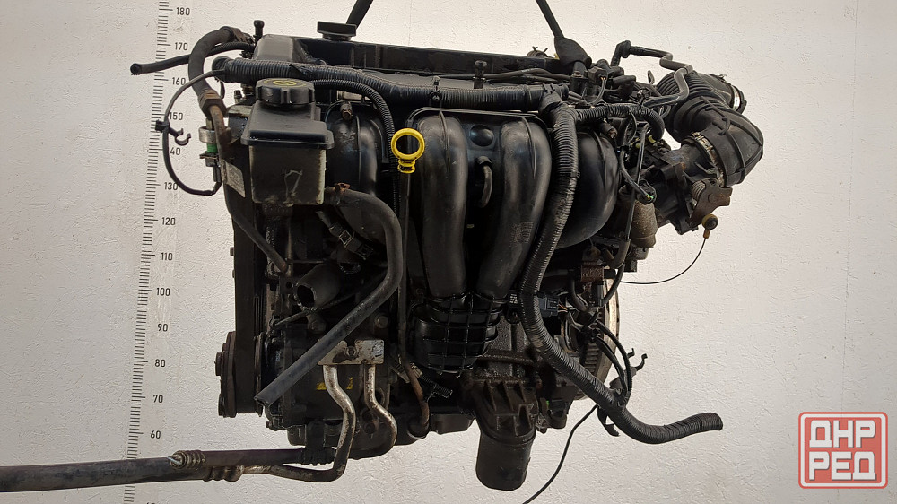 Двигатель Ford Mondeo 3 CHBA, CHBB Донецк - изображение 4