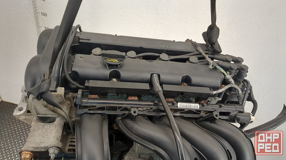 Двигатель Ford Focus 2 SHDA, SHDC Донецк - изображение 5