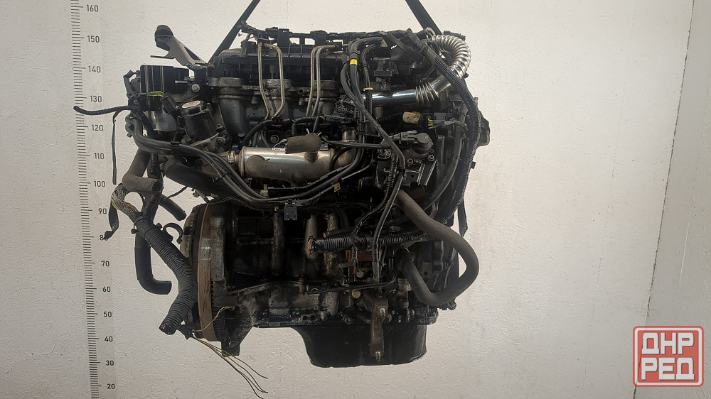 Двигатель Ford Focus 2 G8DA, G8DB, G8DC, G8DD, G8DE, G8DF Донецк - изображение 4