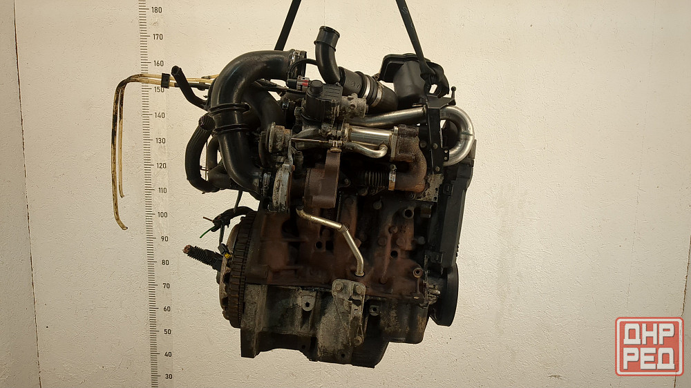 Двигатель Nissan Kubistar K9K710, K9K714 Донецк - изображение 4