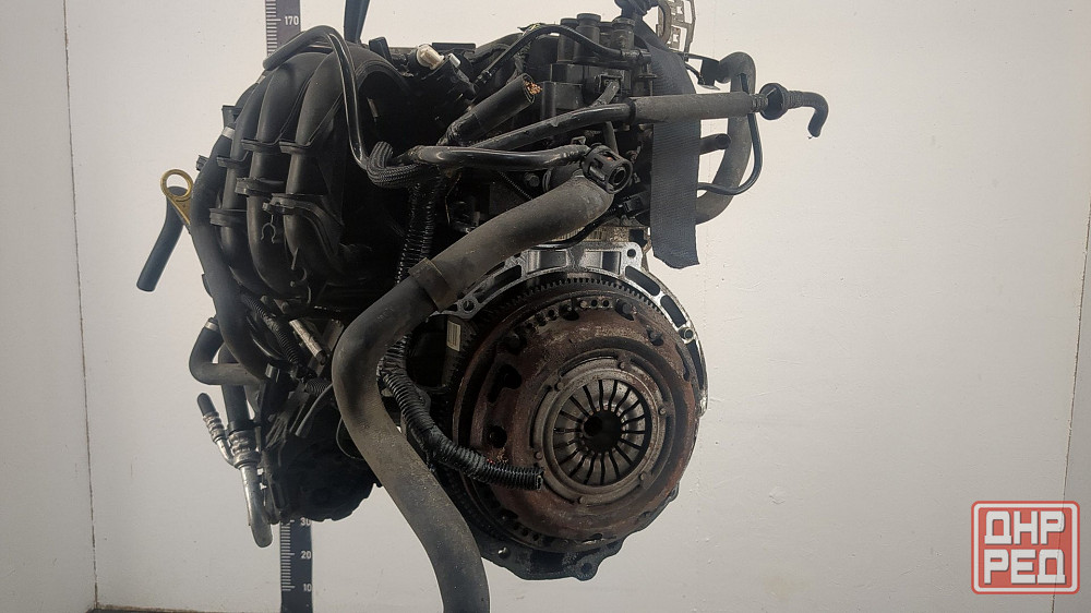 Двигатель Ford C-Max SHDA, SHDB, SHDC Донецк - изображение 2