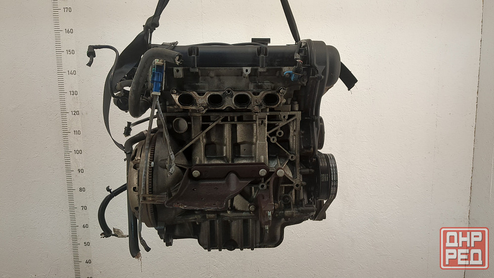 Двигатель Ford Focus 2 SHDA, SHDC Донецк - изображение 4