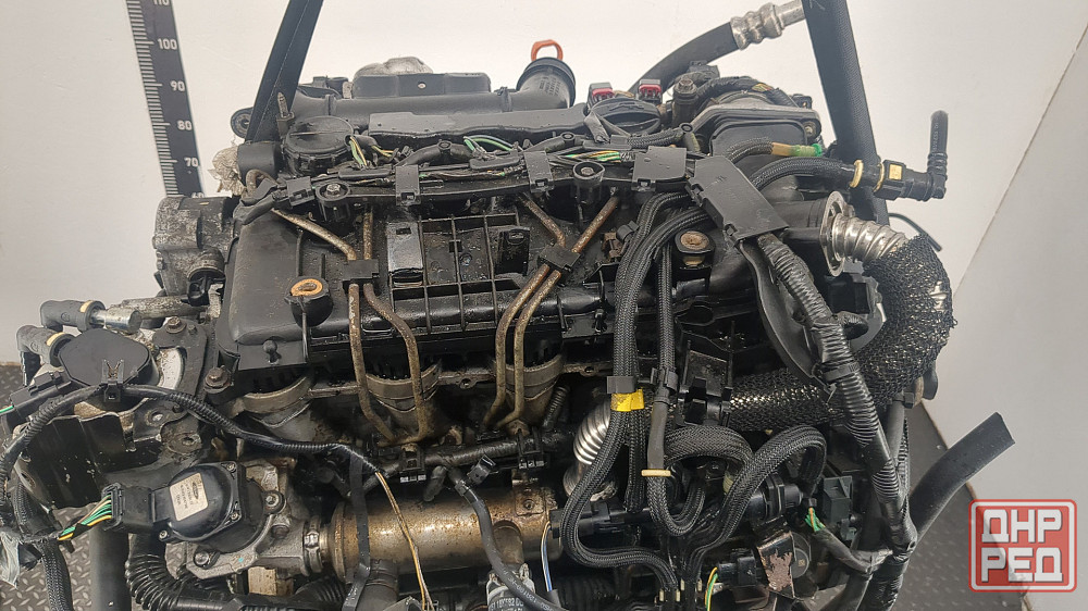 Двигатель Ford Focus 2 G8DA, G8DB, G8DC, G8DD, G8DE, G8DF Донецк - изображение 5
