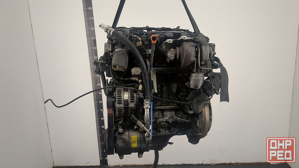 Двигатель Ford Focus 2 G8DA, G8DB, G8DC, G8DD, G8DE, G8DF Донецк - изображение 3