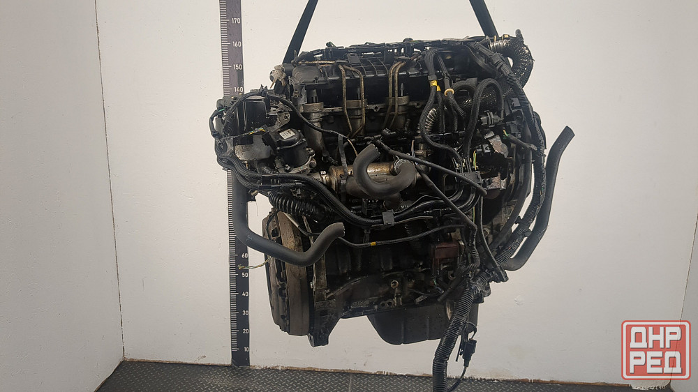 Двигатель Ford Focus 2 G8DA, G8DB, G8DC, G8DD, G8DE, G8DF Донецк - изображение 4
