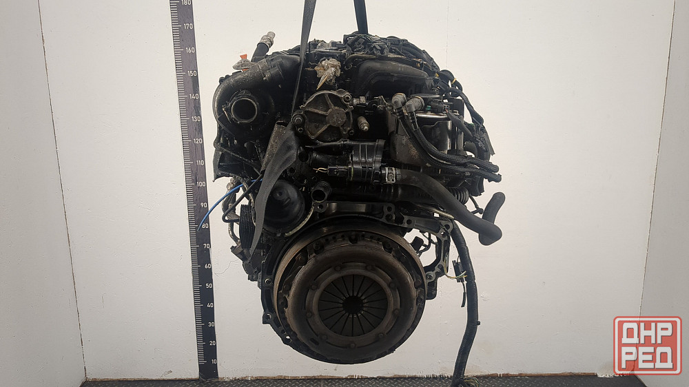 Двигатель Ford Focus 2 G8DA, G8DB, G8DC, G8DD, G8DE, G8DF Донецк - изображение 2