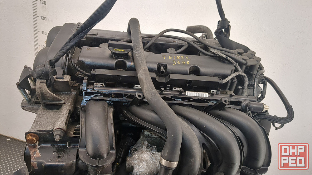 Двигатель Ford Focus 2 SHDA Донецк - изображение 5