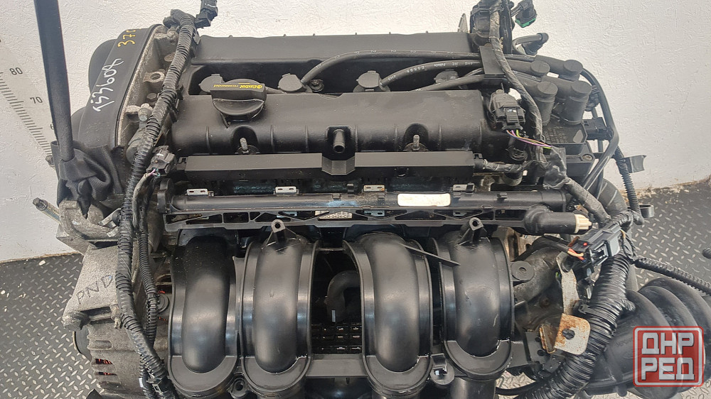 Двигатель Ford Focus 3 PNDA Донецк - изображение 5