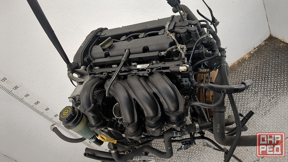 Двигатель Ford Focus 2 SHDA, SHDC Донецк - изображение 6