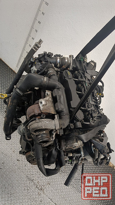 Двигатель Ford Focus 2 G8DA, G8DB, G8DC, G8DD, G8DE, G8DF Донецк - изображение 6