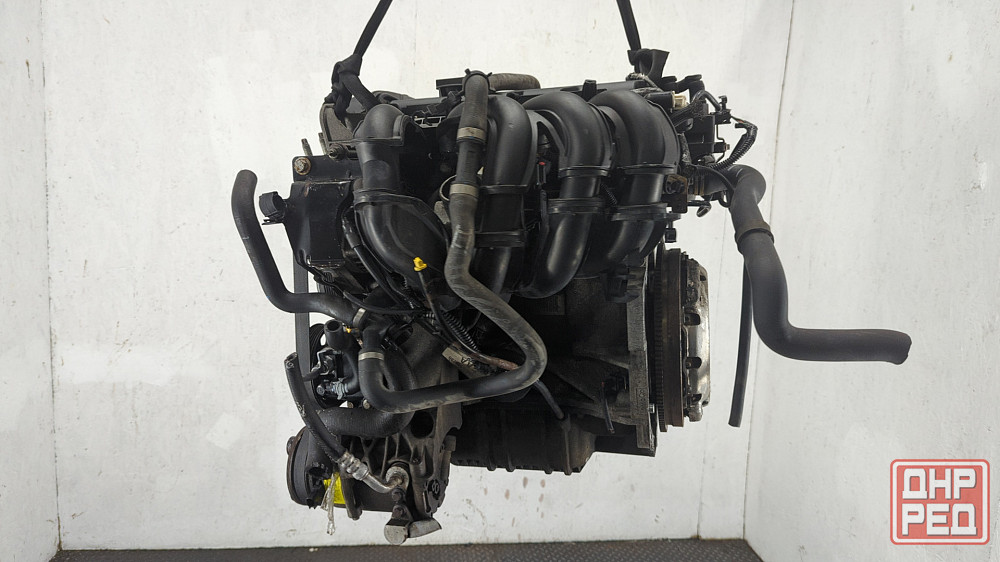 Двигатель Ford Focus 2 SHDA, SHDC Донецк - изображение 3