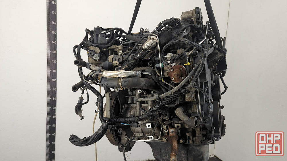 Двигатель Ford Focus 3 NGDA, NGDB Донецк - изображение 4
