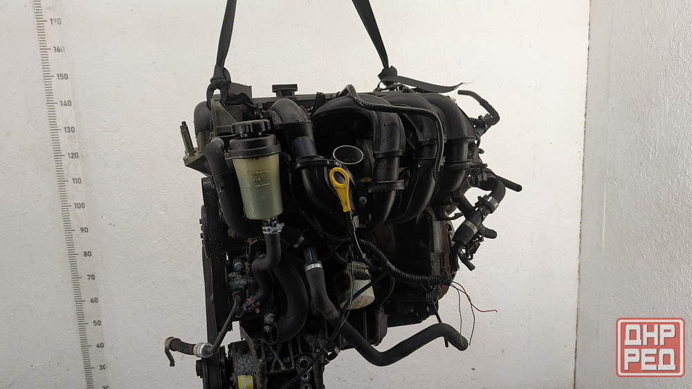 Двигатель Ford Focus 2 SHDA, SHDC Донецк - изображение 4