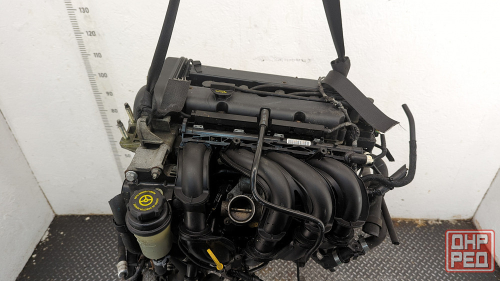 Двигатель Ford Focus 2 SHDA, SHDC Донецк - изображение 6