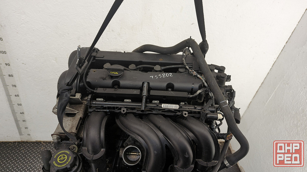 Двигатель Ford Focus 2 SHDA Донецк - изображение 6