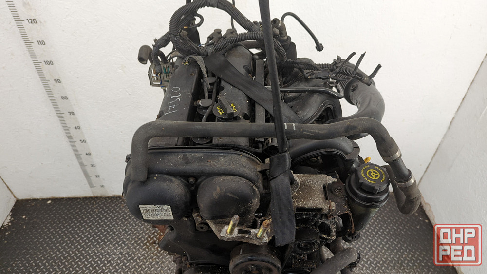 Двигатель Ford Focus 2 HWDA, HWDB Донецк - изображение 7