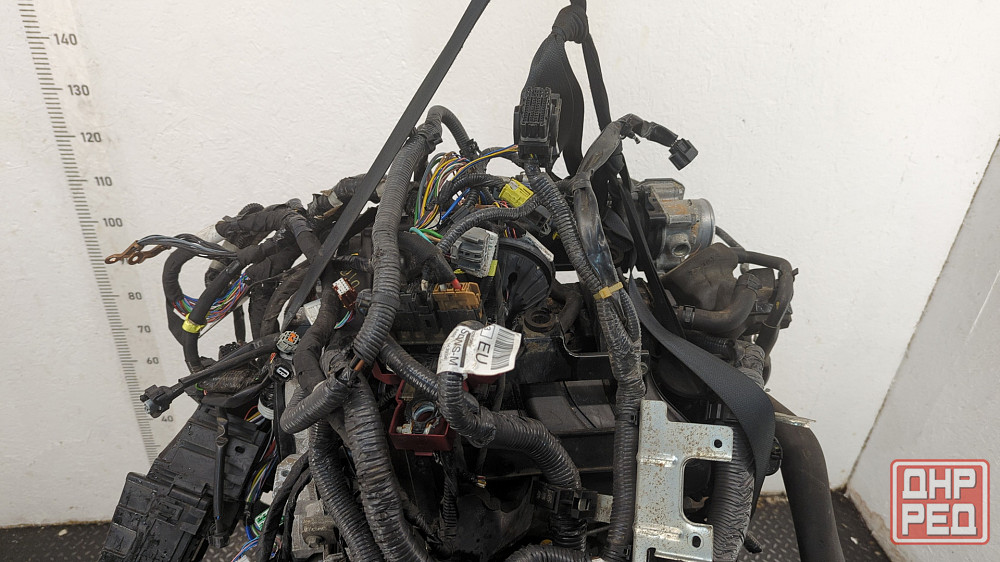 Двигатель Nissan Qashqai MR20DD Донецк - изображение 6