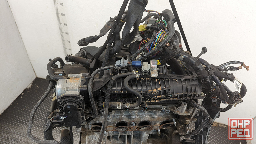 Двигатель Nissan Qashqai MR20DD Донецк - изображение 8