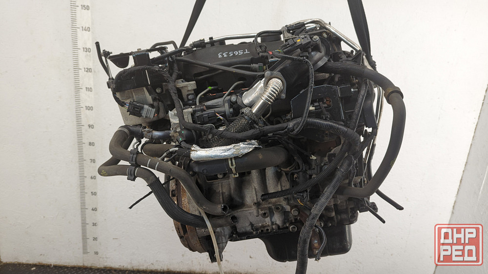 Двигатель Ford S-Max T1WB Донецк - изображение 4