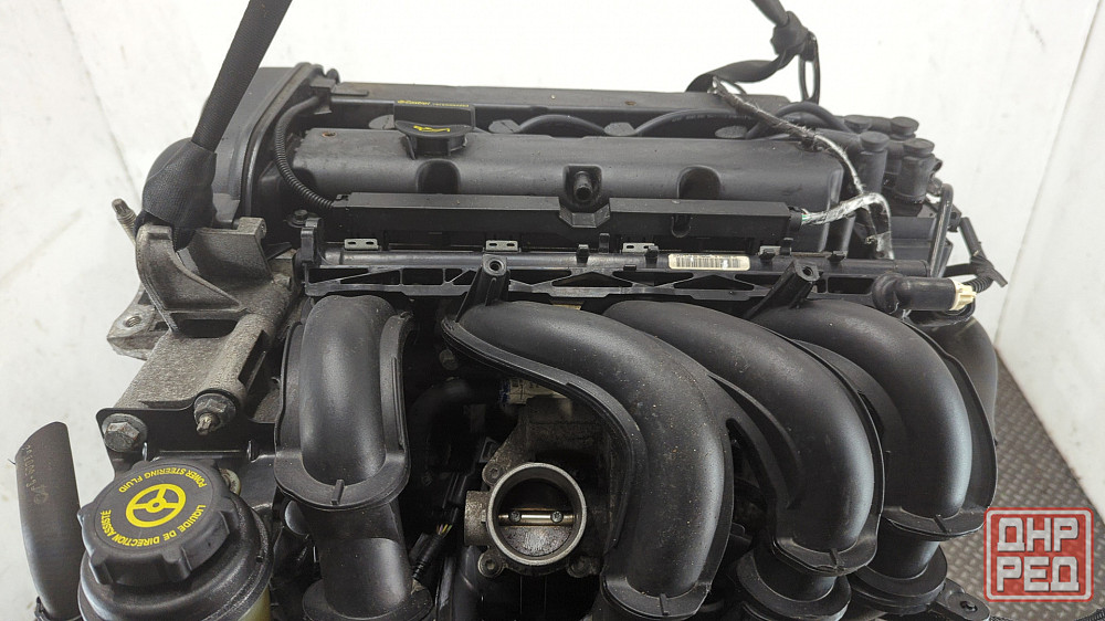 Двигатель Ford Focus 2 SHDA, SHDC Донецк - изображение 7