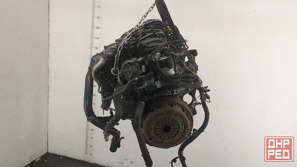 Двигатель Ford Focus 2 G8DA, G8DB Донецк - изображение 2