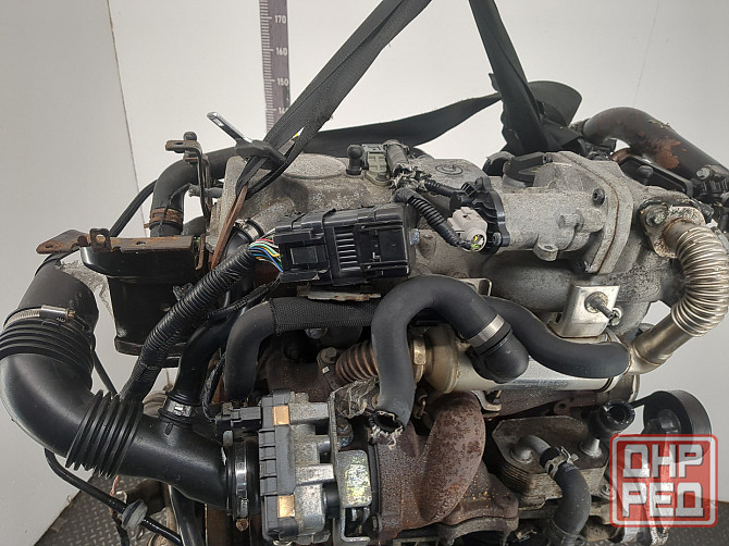 Двигатель Ford Focus 2 KKDA, KKDB Донецк - изображение 6