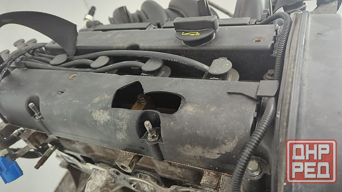 Двигатель Ford Focus 2 SHDA, SHDC Донецк - изображение 8