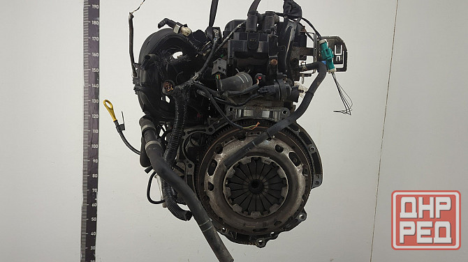 Двигатель Ford Focus 2 SHDA, SHDC Донецк - изображение 3