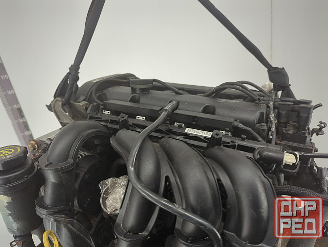 Двигатель Ford Focus 2 SHDA, SHDC Донецк - изображение 6