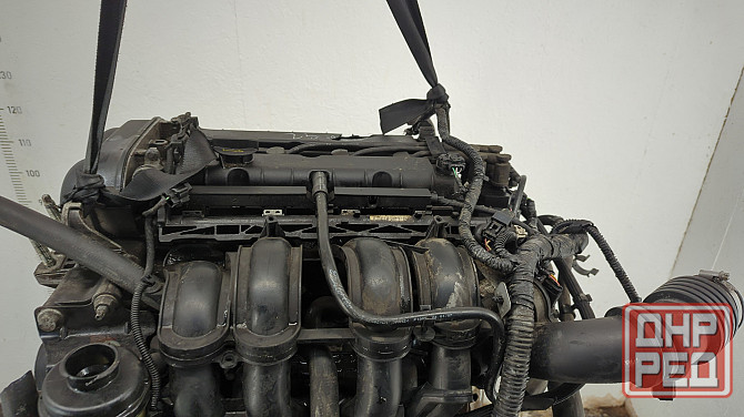 Двигатель Ford Focus 2 HXDA, HXDB Донецк - изображение 5