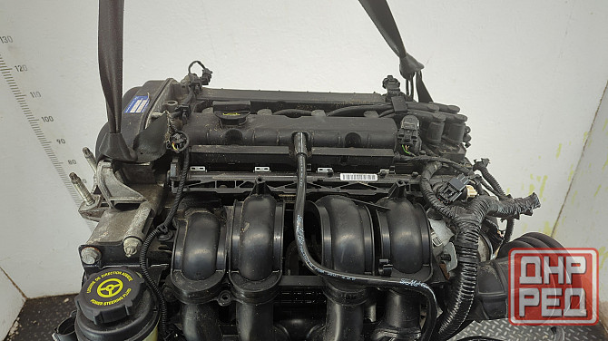 Двигатель Ford Focus 2 HXDA, HXDB Донецк - изображение 5