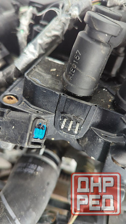 Двигатель Ford Focus 2 SHDA, SHDC Донецк - изображение 5