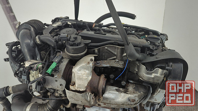 Двигатель Ford Mondeo 5 T7CB, T7CC, T7CD, T7CE, T7CF, T7CN Донецк - изображение 7