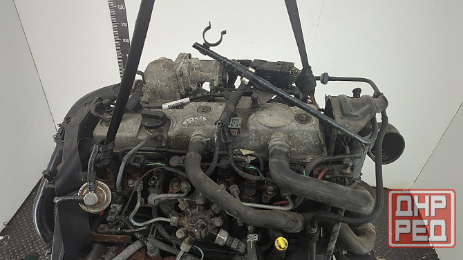 Двигатель Ford Focus 2 KKDA, KKDB Донецк - изображение 6