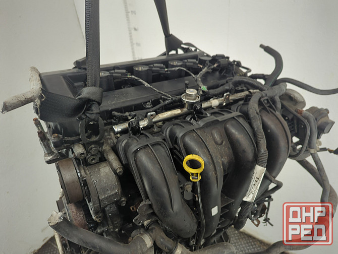 Двигатель Ford Focus 2 CSDA Донецк - изображение 5