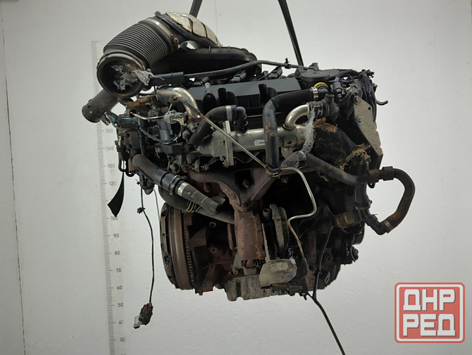 Двигатель Ford Mondeo 4 QXBA, QXBB Донецк - изображение 2