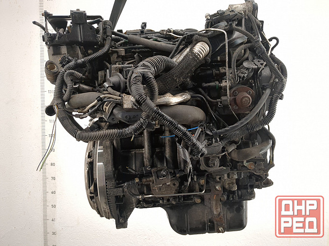 Двигатель Ford Focus 3 NGDA, NGDB Донецк - изображение 3