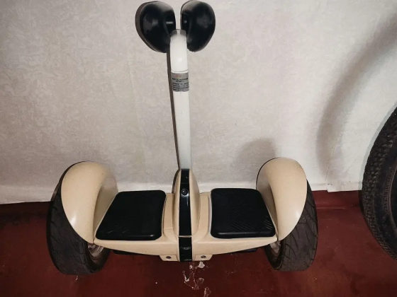 Сигвей Донецк