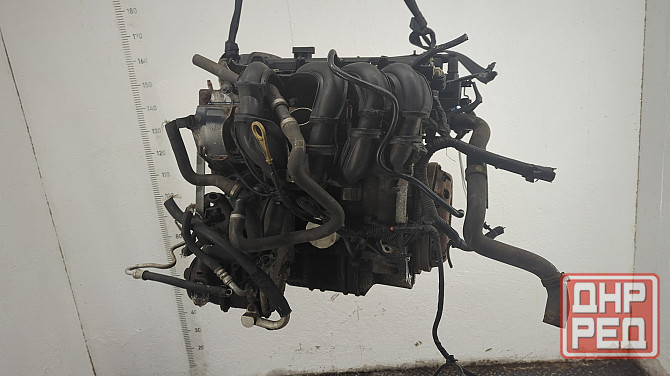 Двигатель Ford Focus 2 SHDA, SHDC Донецк - изображение 2