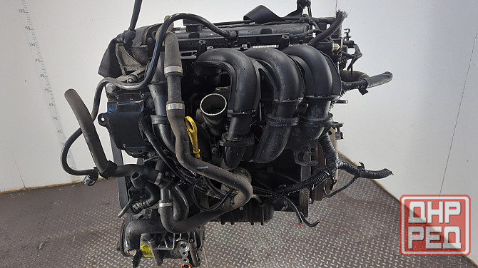 Двигатель Ford Focus 2 SHDA, SHDC Донецк - изображение 4