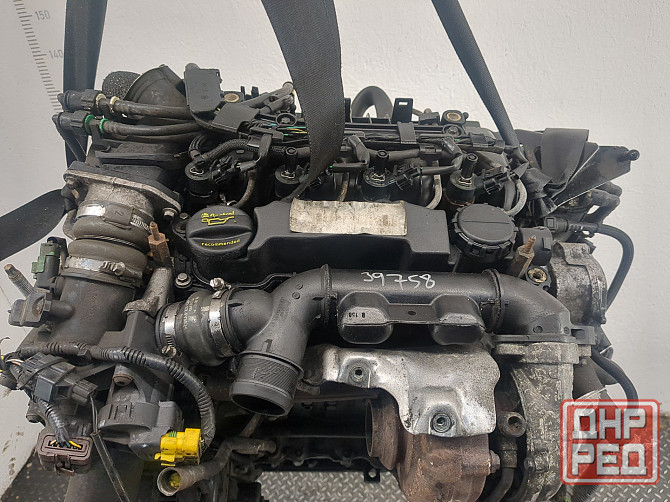 Двигатель Ford Focus 2 G8DA, G8DB Донецк - изображение 2