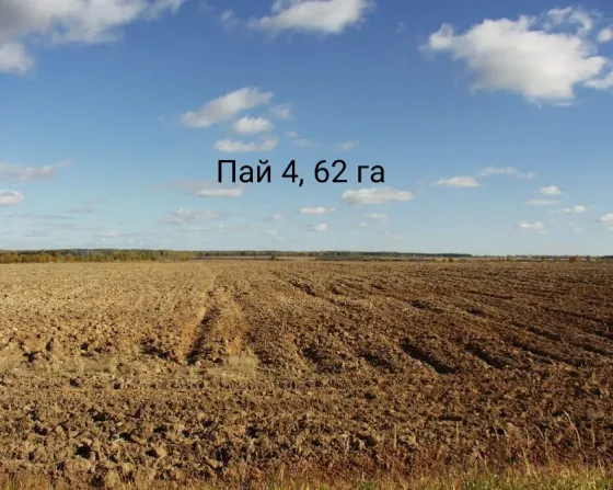 Продам землю сельскохозяйственного назначения 4,62 га Ясиноватая