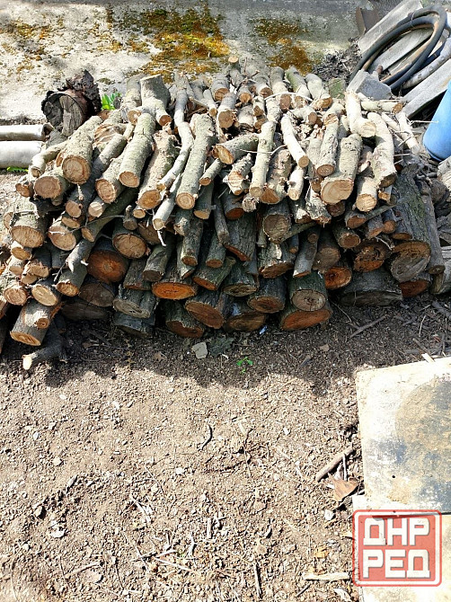Продам дрова Донецк - изображение 2