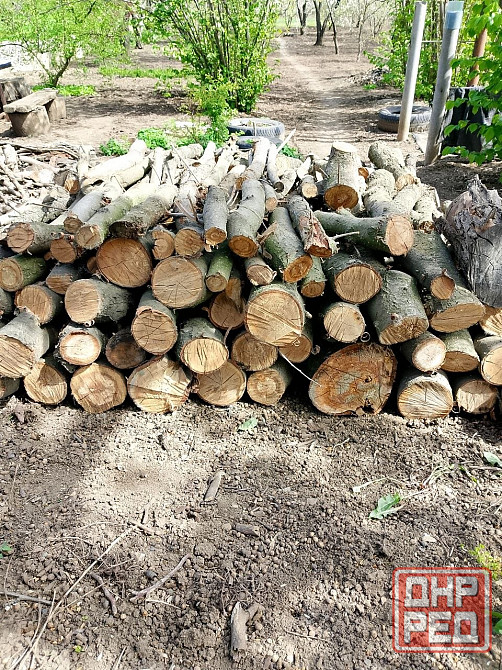 Продам дрова Донецк - изображение 1