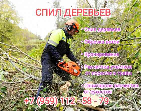 Обрезка деревьев Луганск Луганск