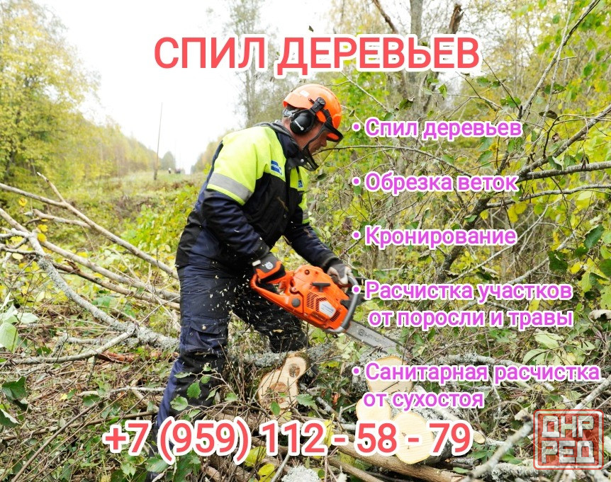 Обрезка деревьев Луганск Луганск - изображение 1