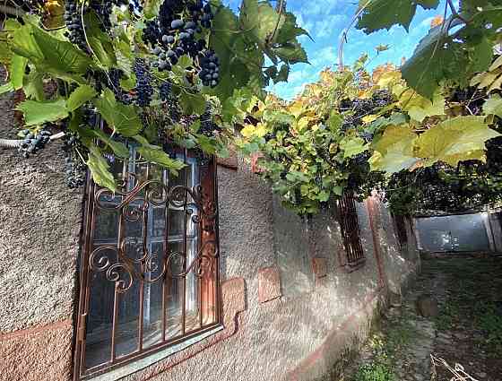 Продам дом, Сечкина, дом 8 Горгаи Донецк
