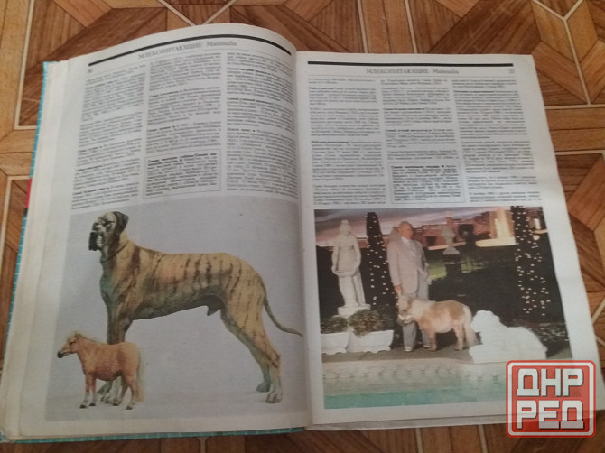 книга рекордов Гиннесса Донецк - изображение 3