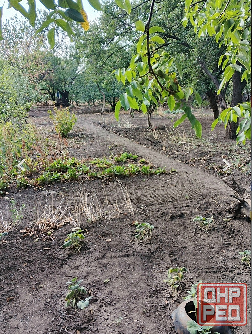 Продам дом Шахтерск - изображение 3